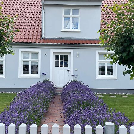 Haus Vicus Apartment Greifswald Bagian luar foto