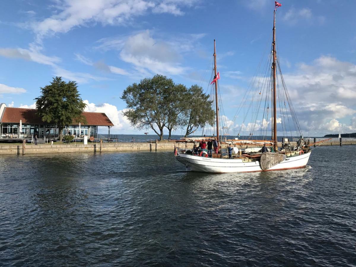 Haus Vicus Apartment Greifswald Bagian luar foto